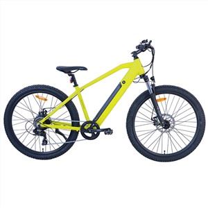 Alexander E-Sepeda Gunung