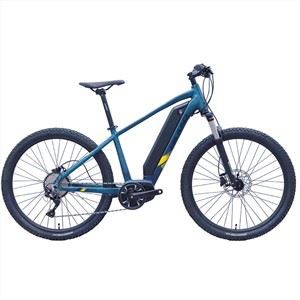 Ecr.01 Mid Motor MTB Ebike