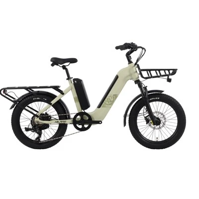 Sepeda ban lemak 20 inci 48V 500W baterai ganda ebike sepeda kargo listrik dengan 2 keranjang
